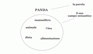 Campo semantico posizionamento SEO fai da te